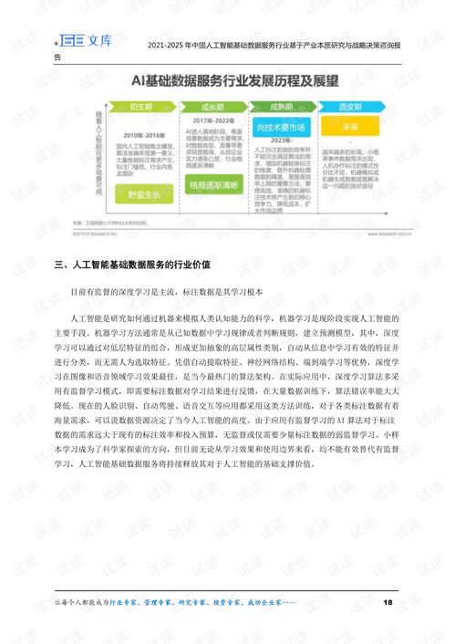 智能賦能，數據先行——2021-2025年中國人工智能基礎數據服務與行業應用集成發展洞察
